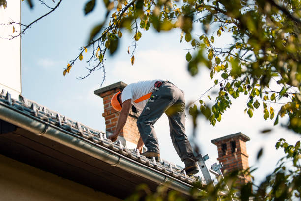 Gutter Installation and Roofing in Strawberry Plains, TN