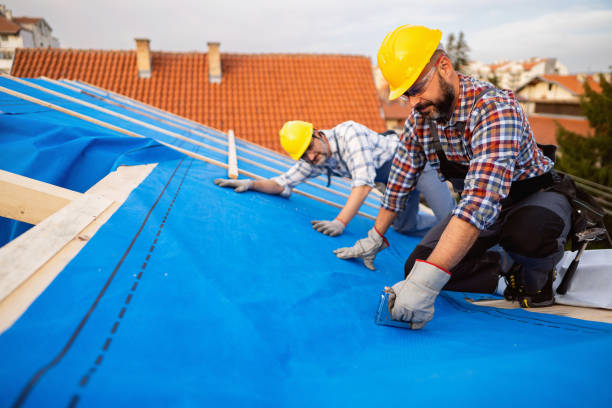 Best Roof Maintenance Services  in Strawberry Plains, TN